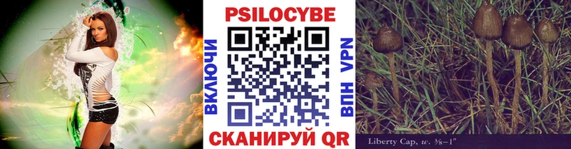 Галлюциногенные грибы прущие грибы  Юрьев-Польский 