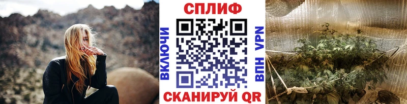 Бошки Шишки MAZAR Юрьев-Польский